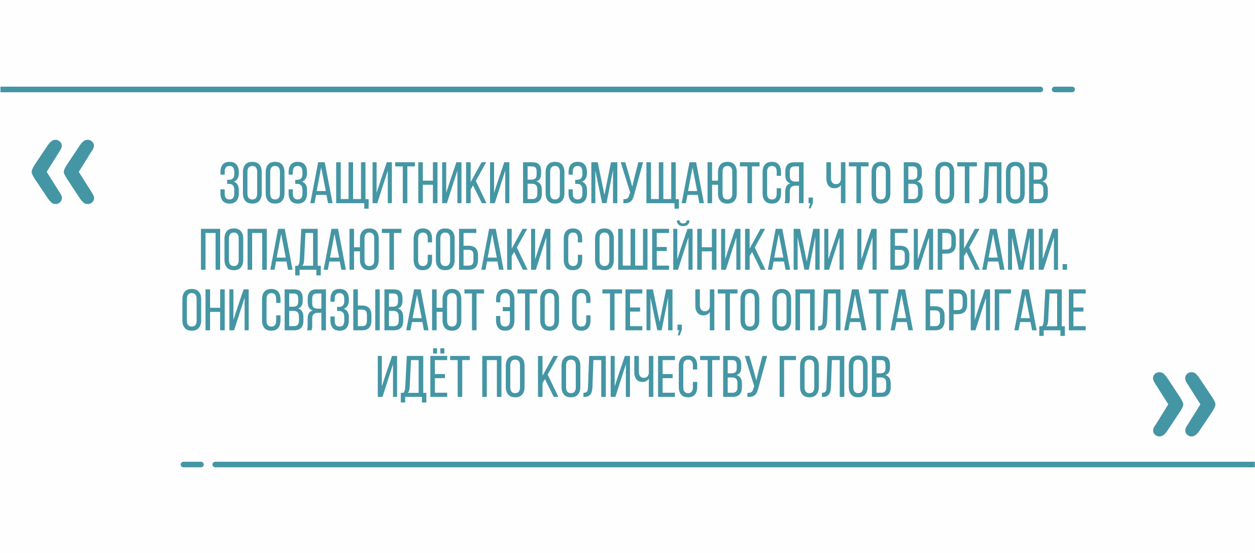 Липецкие власти начали процедуру расторжения контракта с тамбовскими  отловщиками, которые считают, что их оклеветали — Интересное