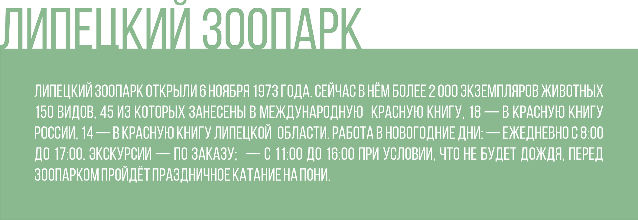 О привычках и характерах символов наступающего 2023 Года рассказали в  липецком зоопарке — Интересное