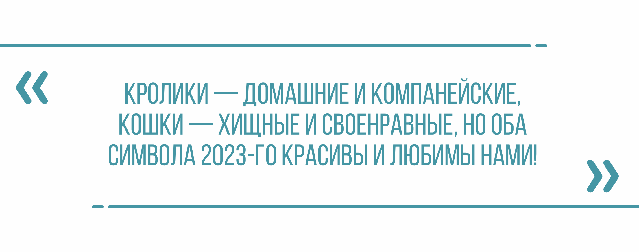 О привычках и характерах символов наступающего 2023 Года рассказали в  липецком зоопарке — Интересное