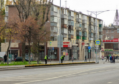 На улице Плеханова высадили 990 кустов спиреи