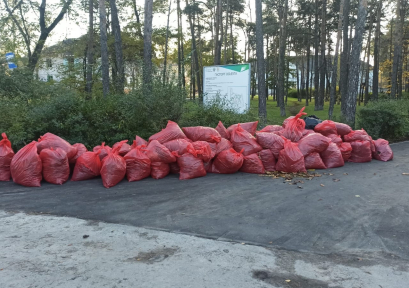 250 мешков листвы и мусора вывезли из Силикатного сквера