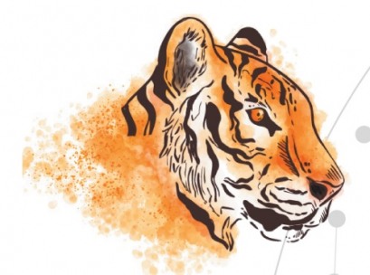 Гороскоп на 2022 год водяного тигра