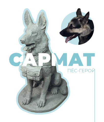 Звёзды российского цирка увековечат память пса-героя Сармата
